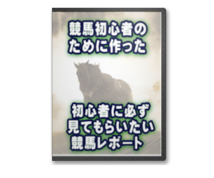 競馬初心者のために作った初心者に必ず見てもらいたい競馬レポート